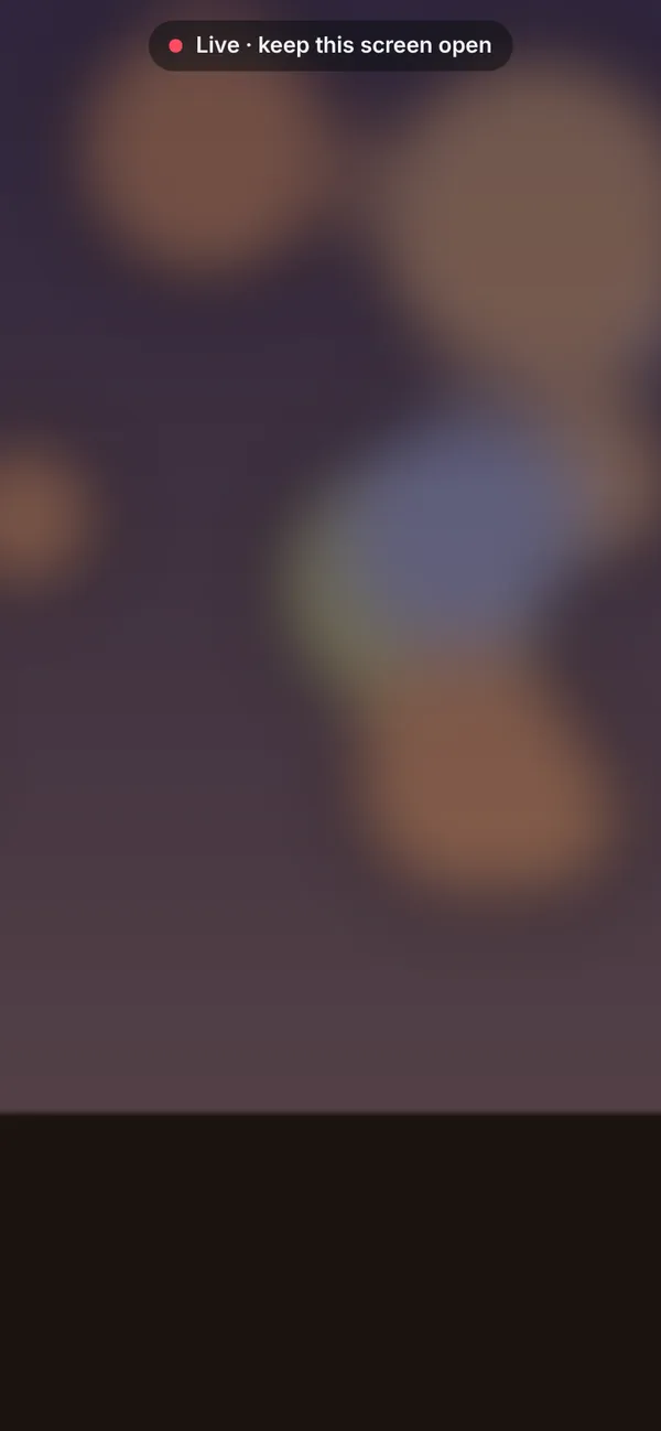 The PhoneCam camera screen on a phone while live: the video fills the screen and a small label reads Live, keep this screen open